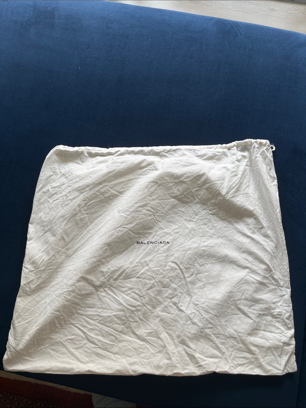 Baleciaga Dust Cover Large